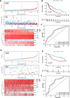 Comprehensive Analysis of mTORC1 Signaling Pathway–Related Genes in the Prognosis of HNSCC and the Response to Chemotherapy and Immunotherapy